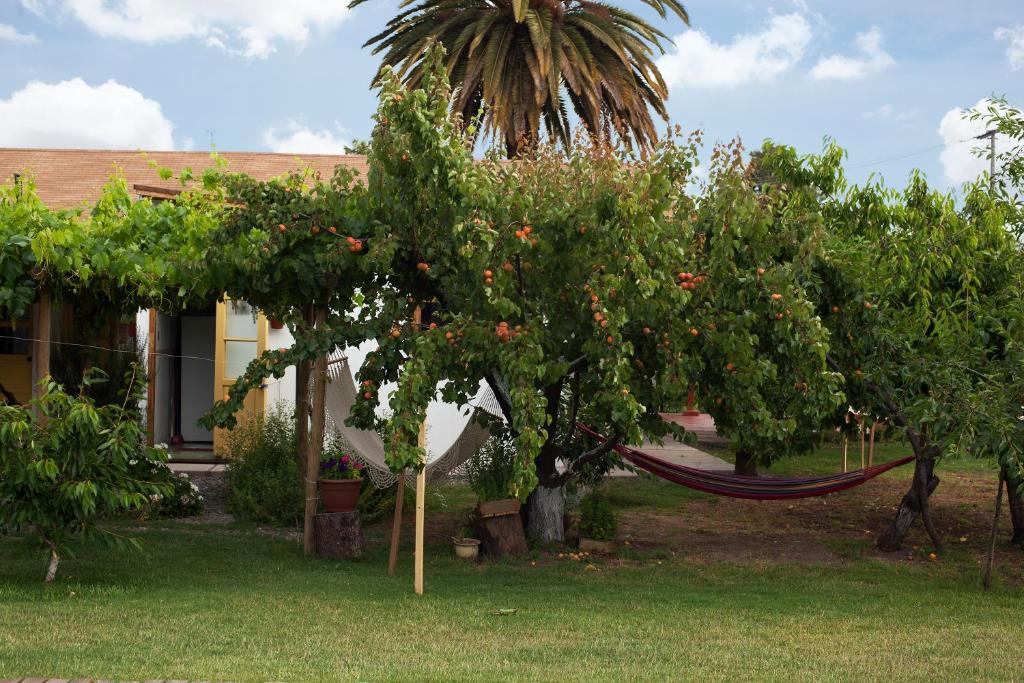 Casa Pando 2*